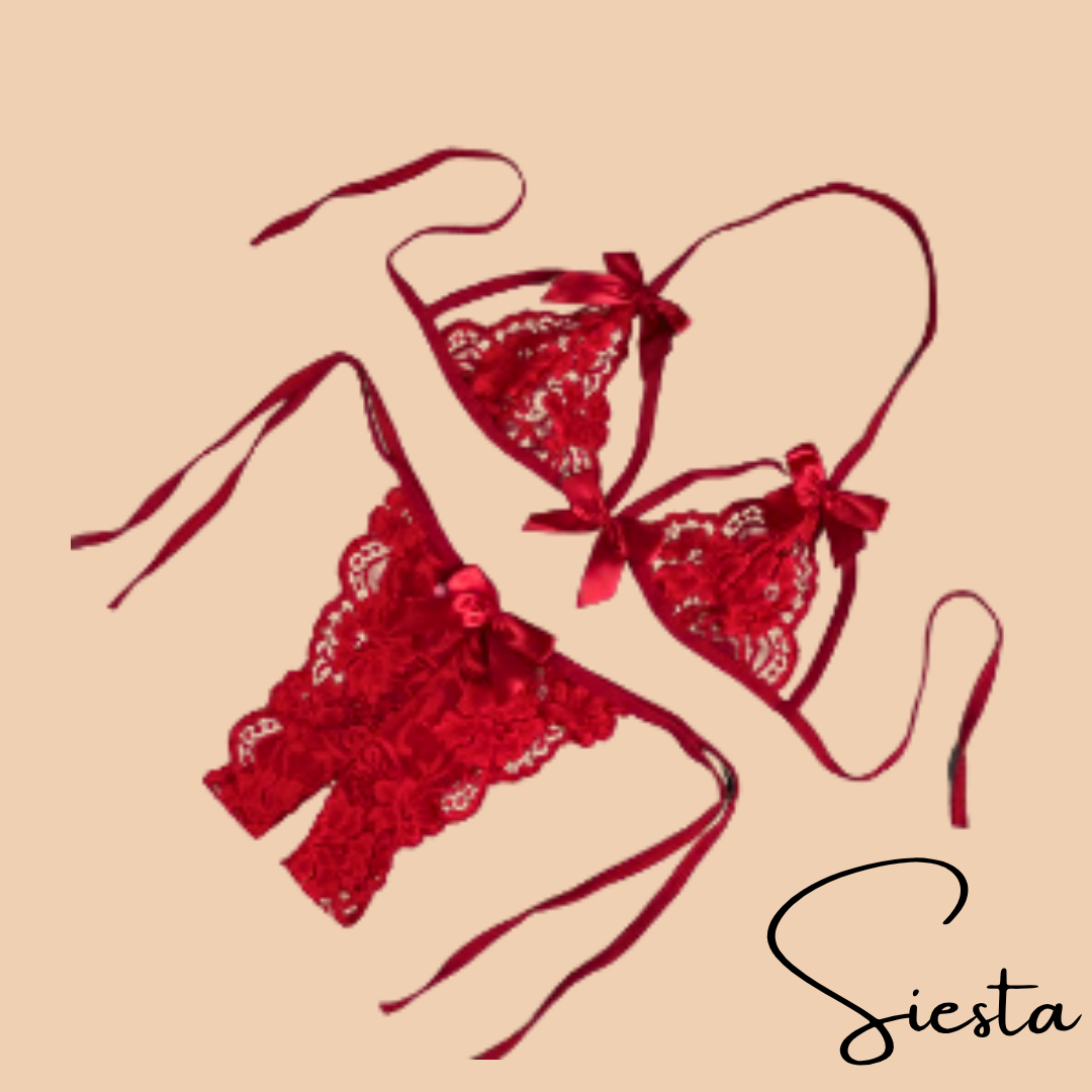 Z19 Lace Bikini Sexy Lingerie