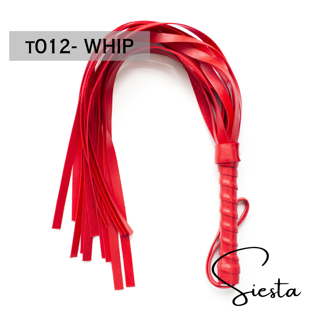 BDSM Whip for Pleasure