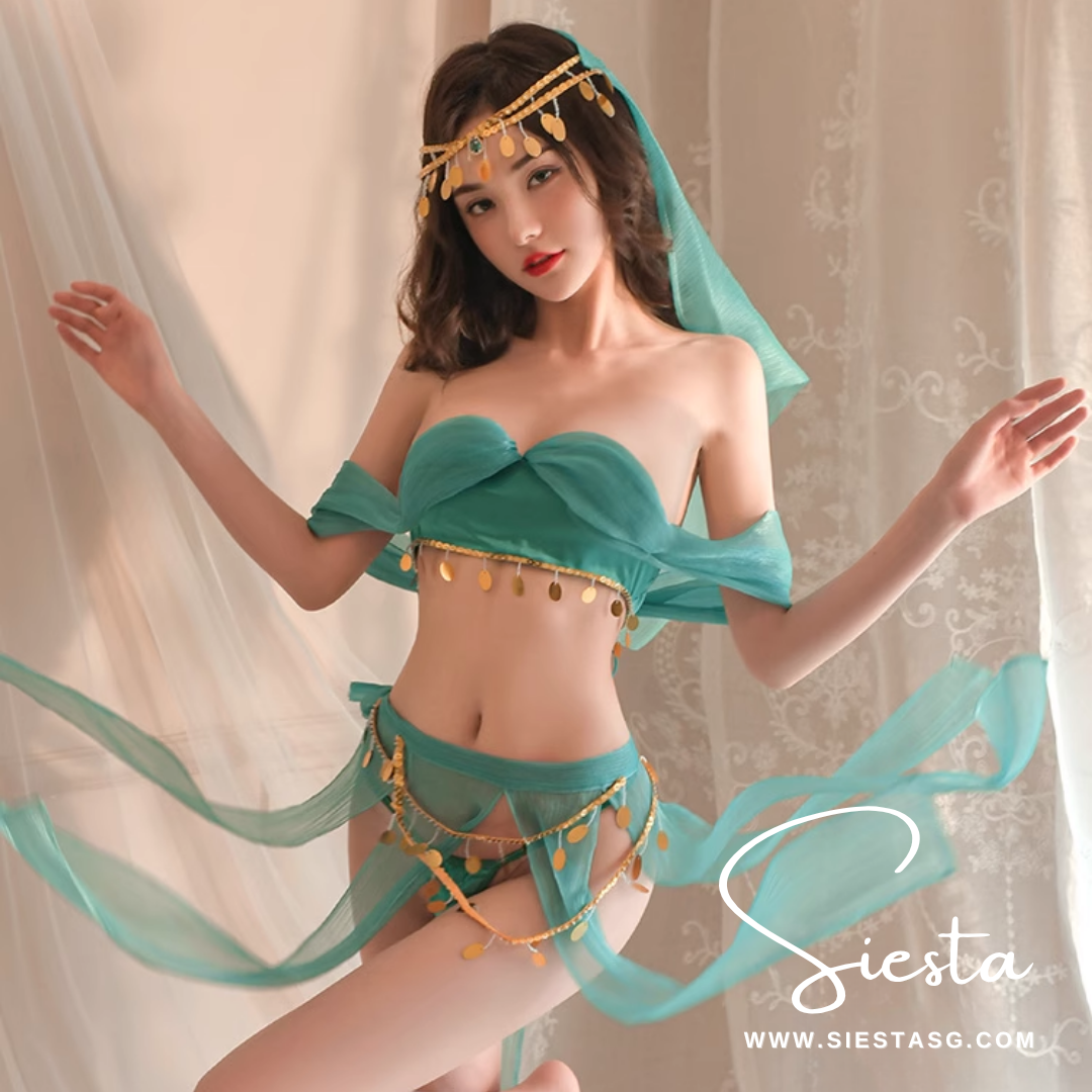 F114 Arabian Nights Desert Princess Fantasy Costume