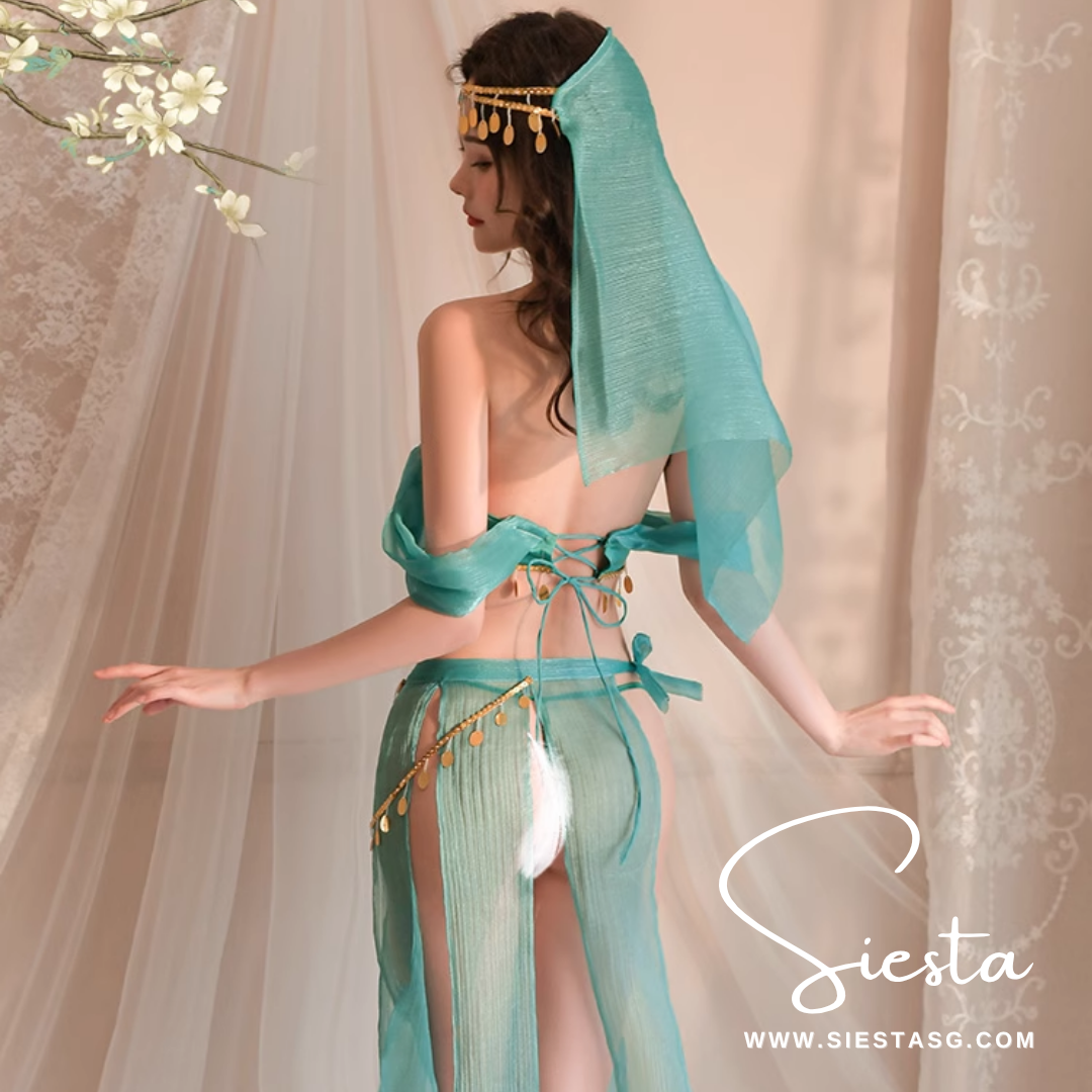 F114 Arabian Nights Desert Princess Fantasy Costume